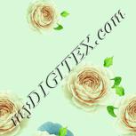 Colour:K