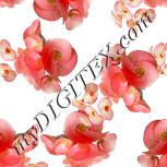 Colour:A
