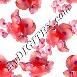 Colour:B