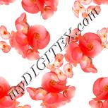 Colour:J