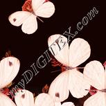 Colour:J