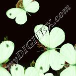 Colour:K