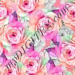 Colour:B