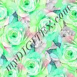 Colour:C