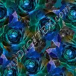 Colour:F