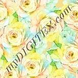 Colour:K