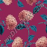 Colour:C