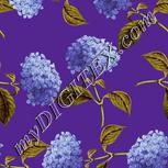 Colour:D