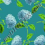 Colour:K