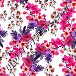 Colour:B