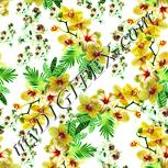 Colour:K