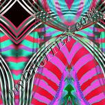 Colour:B