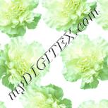 Colour:K