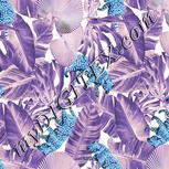 Colour:F