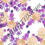 Colour:B