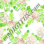 Colour:K