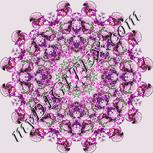 Colour:B