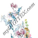 Colour:A