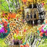 Colour:A
