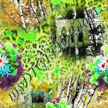 Colour:D
