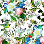 Colour:A