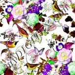 Colour:D