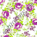 Colour:K