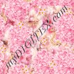 Colour:J