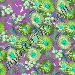 Colour:C