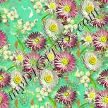 Colour:K