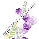 Colour:A