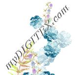 Colour:D