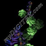 Colour:F
