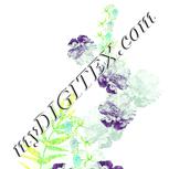 Colour:K