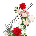 Colour:A