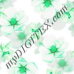 Colour:C