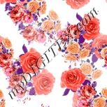 Colour:B
