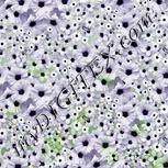 Colour:D