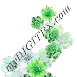Colour:C