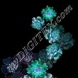 Colour:F