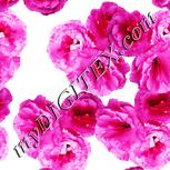 Colour:B