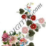Colour:A