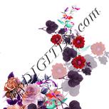 Colour:B