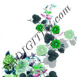 Colour:C