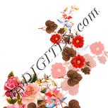Colour:J