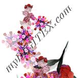 Colour:B