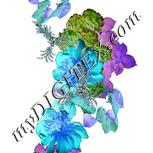 Colour:F