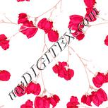 Colour:J