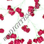 Colour:K