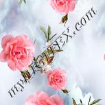 Colour:A